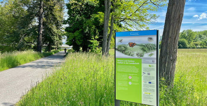 Landschaftspark Wiese